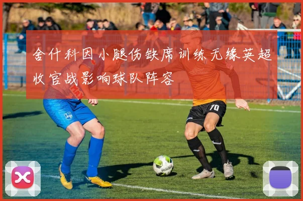 舍什科因小腿伤缺席训练无缘英超收官战影响球队阵容
