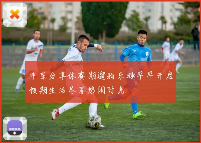 申京分享休赛期遛狗乐趣早早开启假期生活尽享悠闲时光